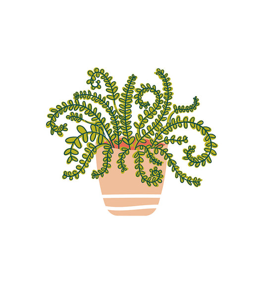 Coton Colors - Happy Houseplant Attachment