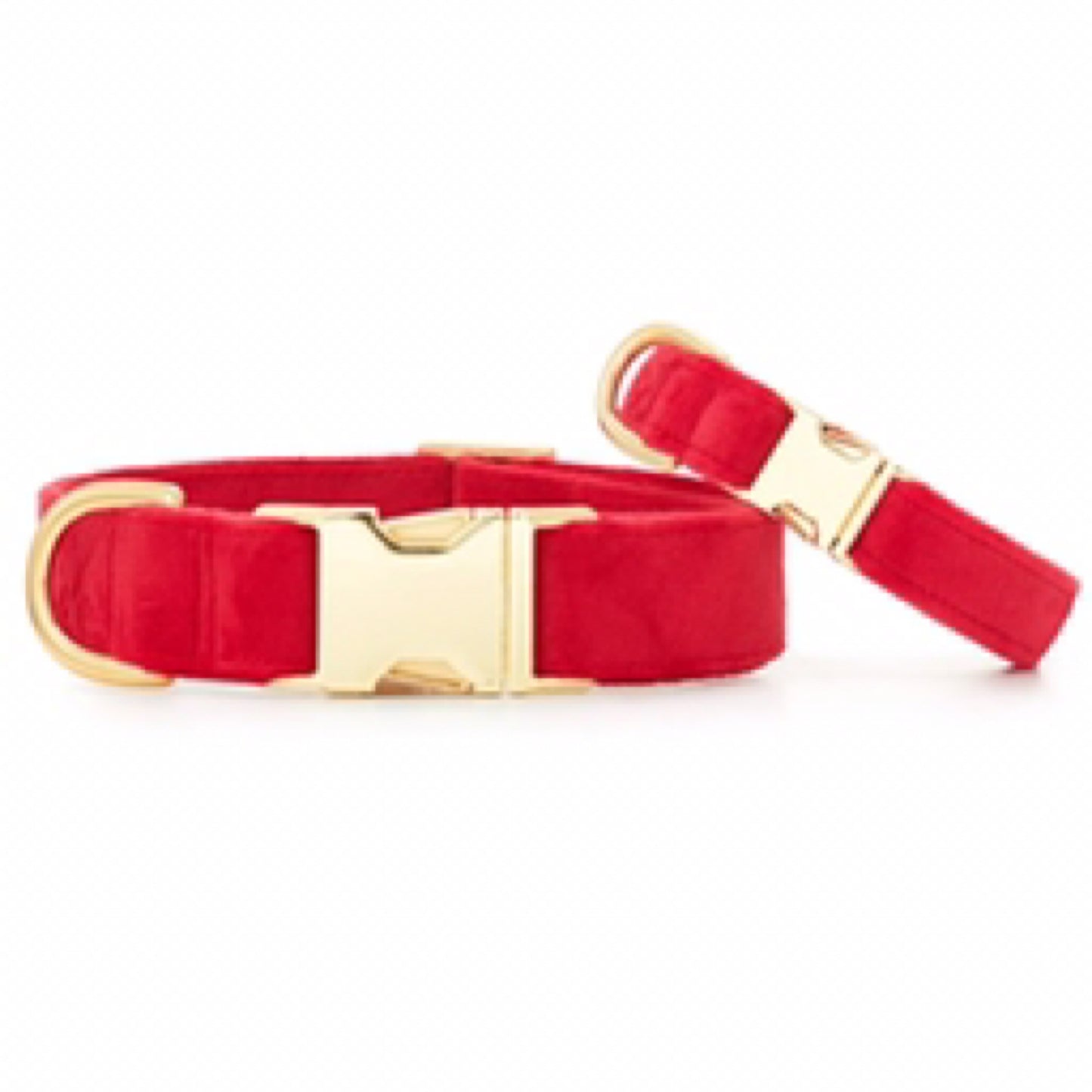Foggy Dog- Cranberry Velvet Dog Collar