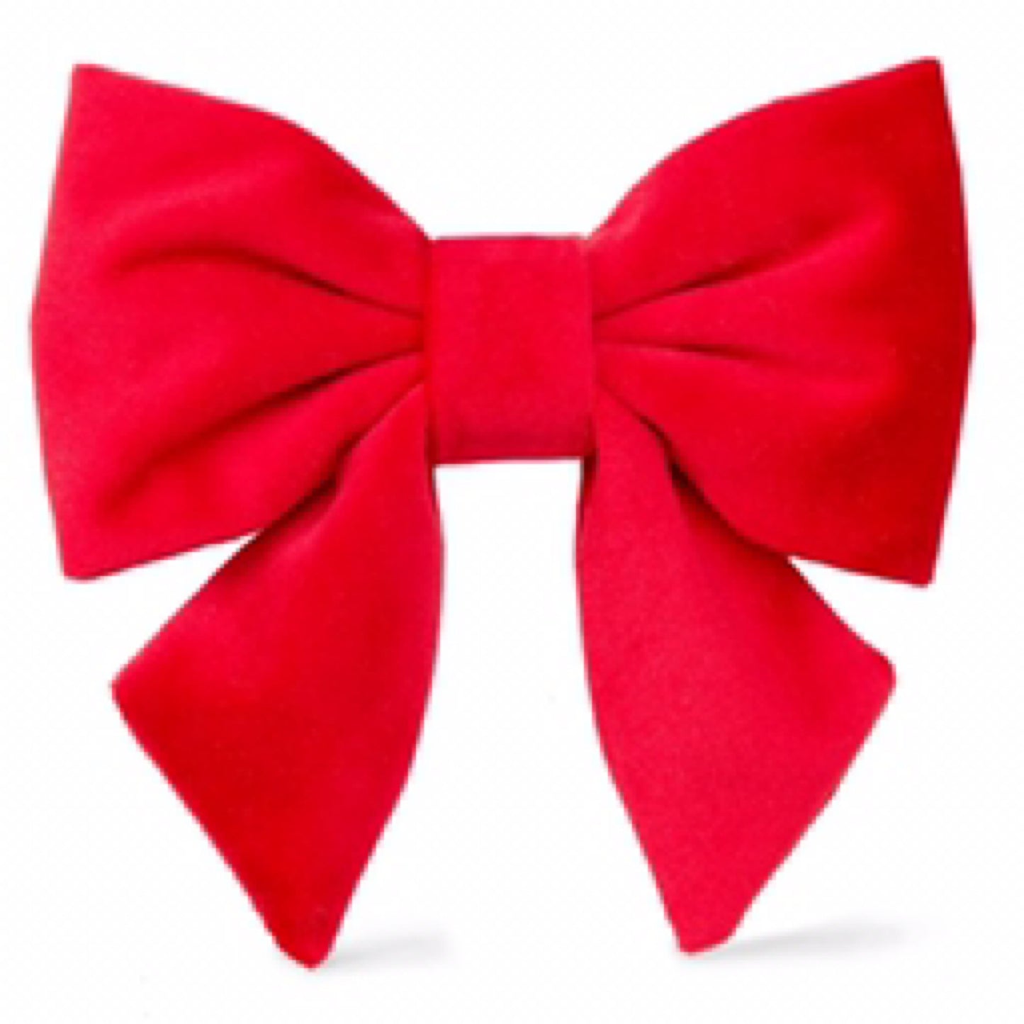 Foggy Dog- Cranberry velvet Dog Lady Bow