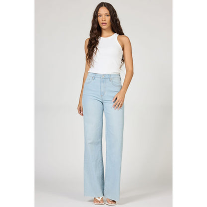 Dear John - High Rise, Wide Leg, Raw Hem, Fiona Jeans 349 - Blue Striped