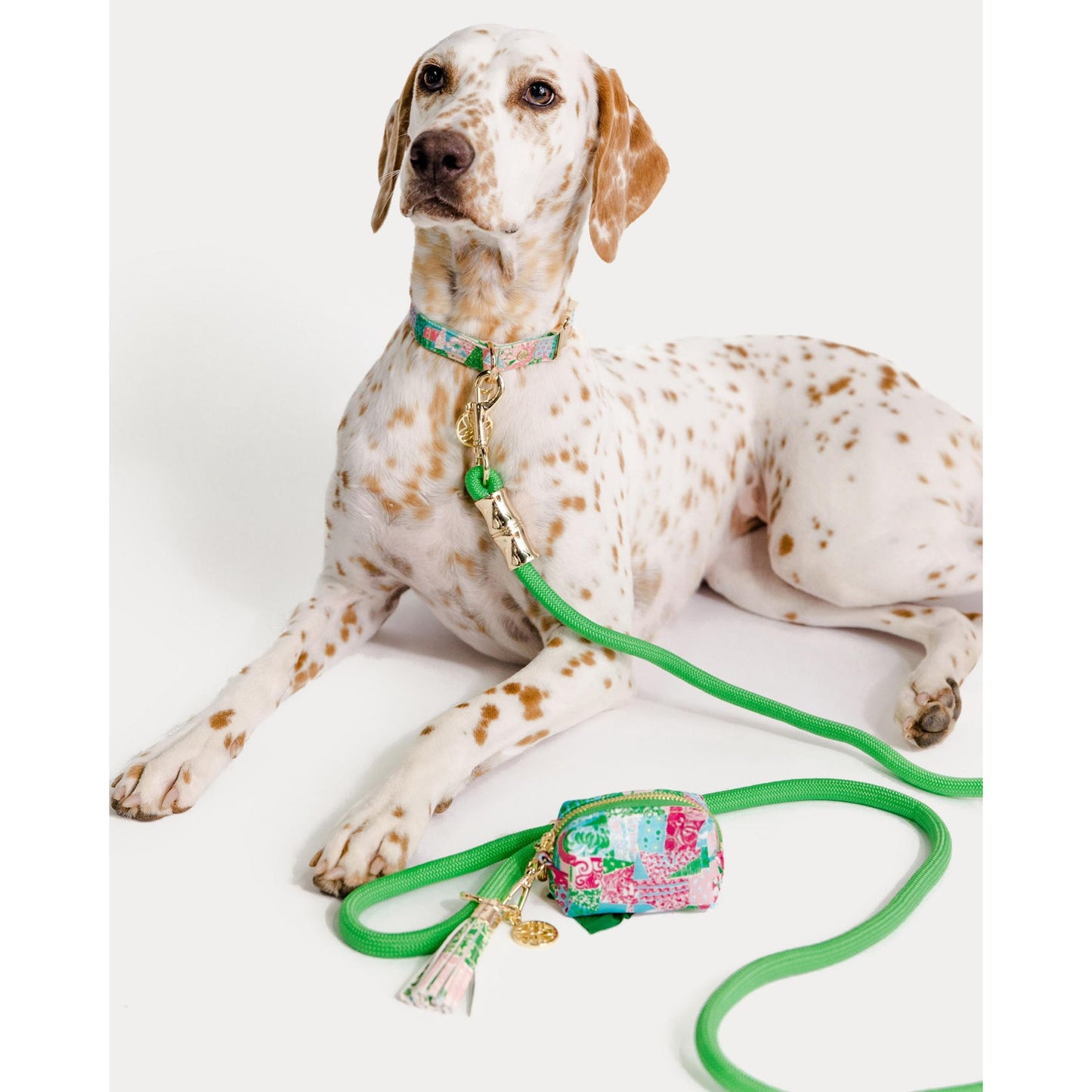 Lilly Pulitzer - Pet Leash – Crazy Quilt