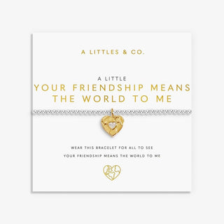 'Your Friendship Means The World To Me’ - 9521 - Silver Bracelet