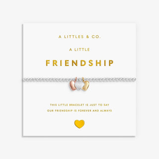 'Friendship’ - 9768 - Silver Bracelet