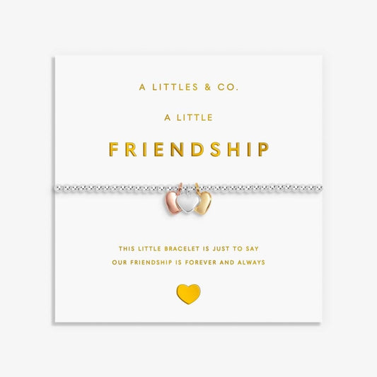 'Friendship’ - 9768 - Silver Bracelet