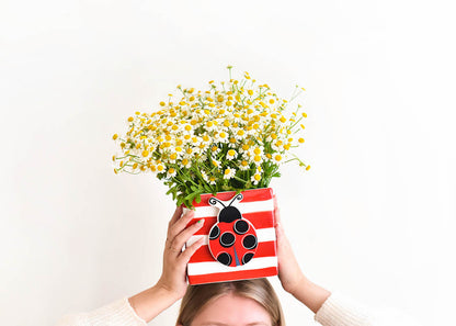 COTON COLORS - Ladybug Attachment
