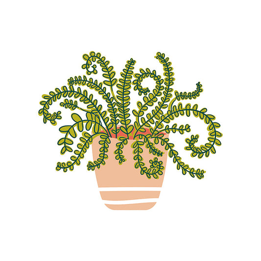 Coton Colors -  Happy Houseplant Attachment