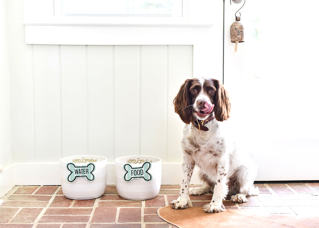 COTON COLORS - Bone Attachment