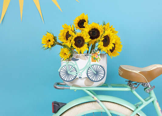 COTON COLORS - Bicycle Attachment