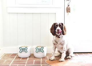 COTON COLORS - Bone Attachment