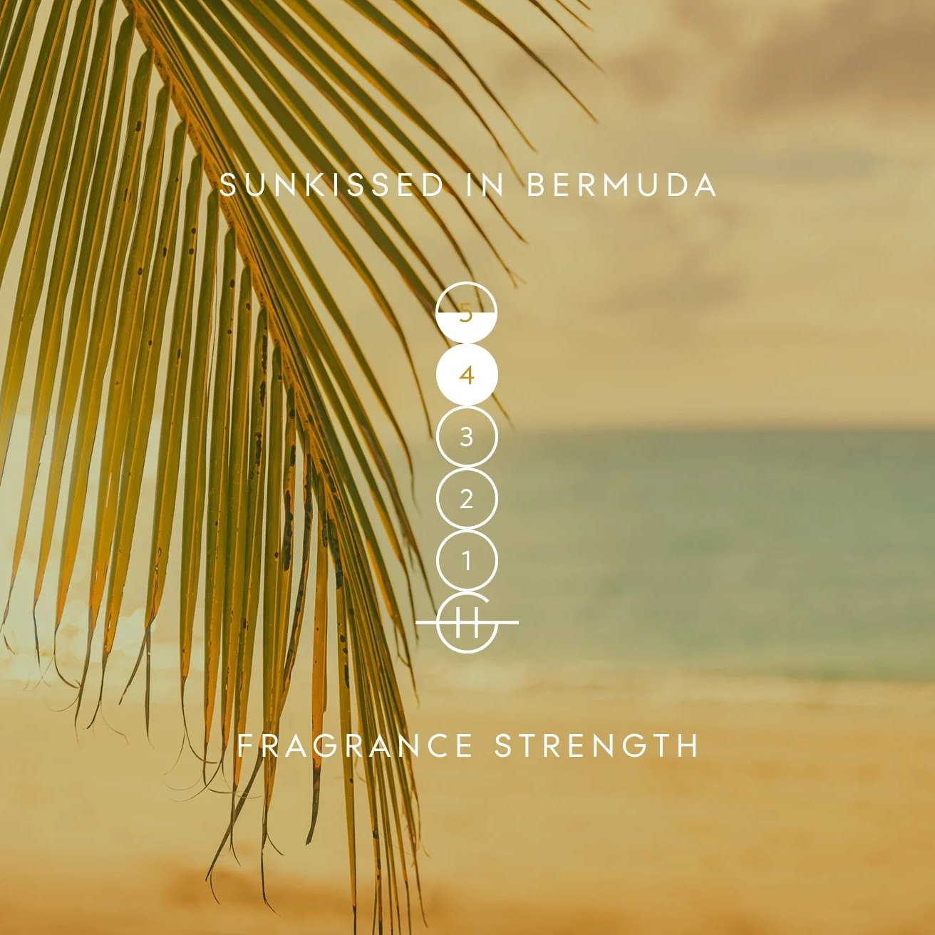 Glasshouse Fragrances - Sunkissed in Bermuda - Tangelo & Geranium - fragrance diffuser
