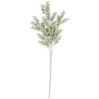 KK - 26 Inch Powdered Boxwood Stem
