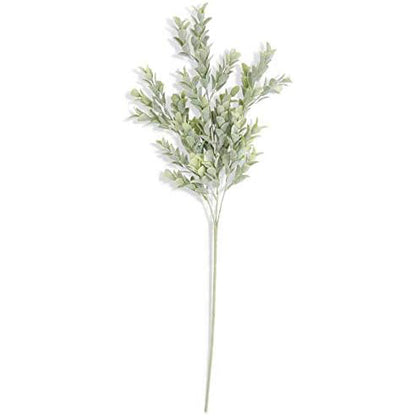 KK - 26 Inch Powdered Boxwood Stem