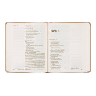 NLT Notetaking Bible : Shiloh Theme