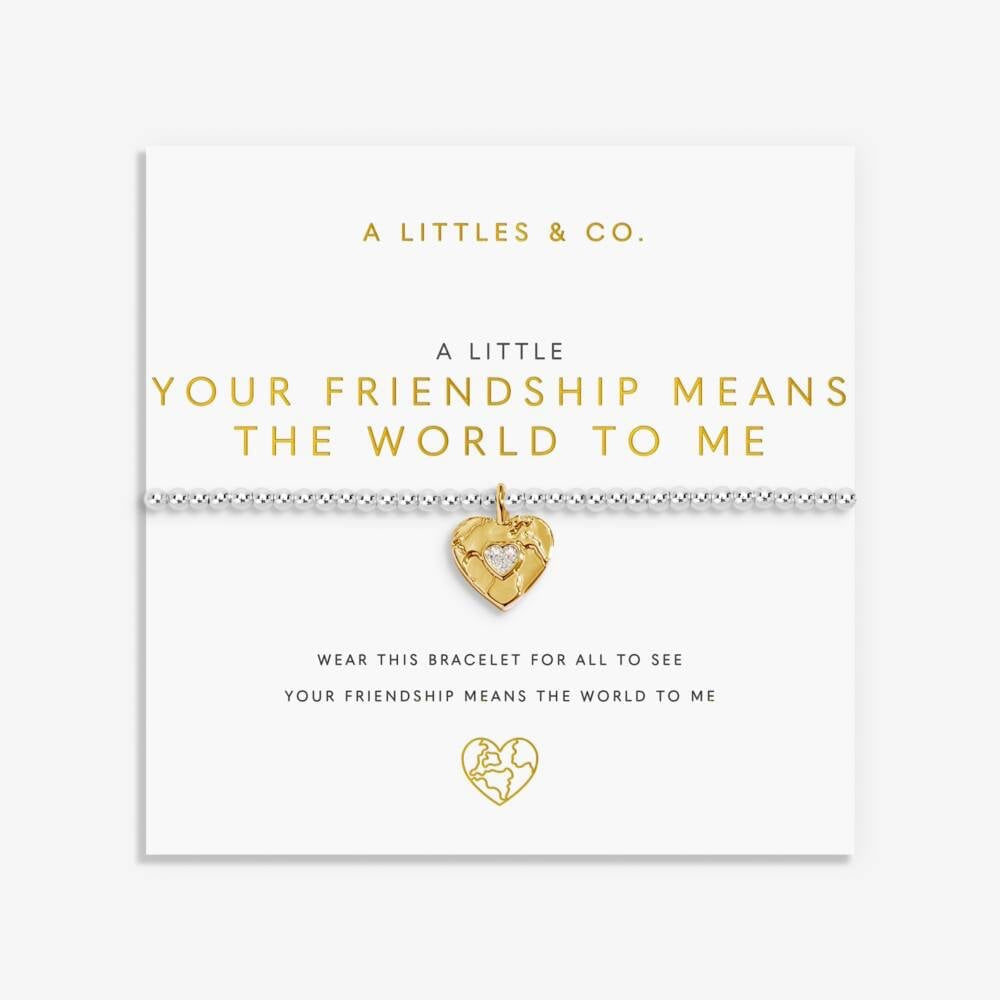 'Your Friendship Means The World To Me’ - 9521 - Silver Bracelet