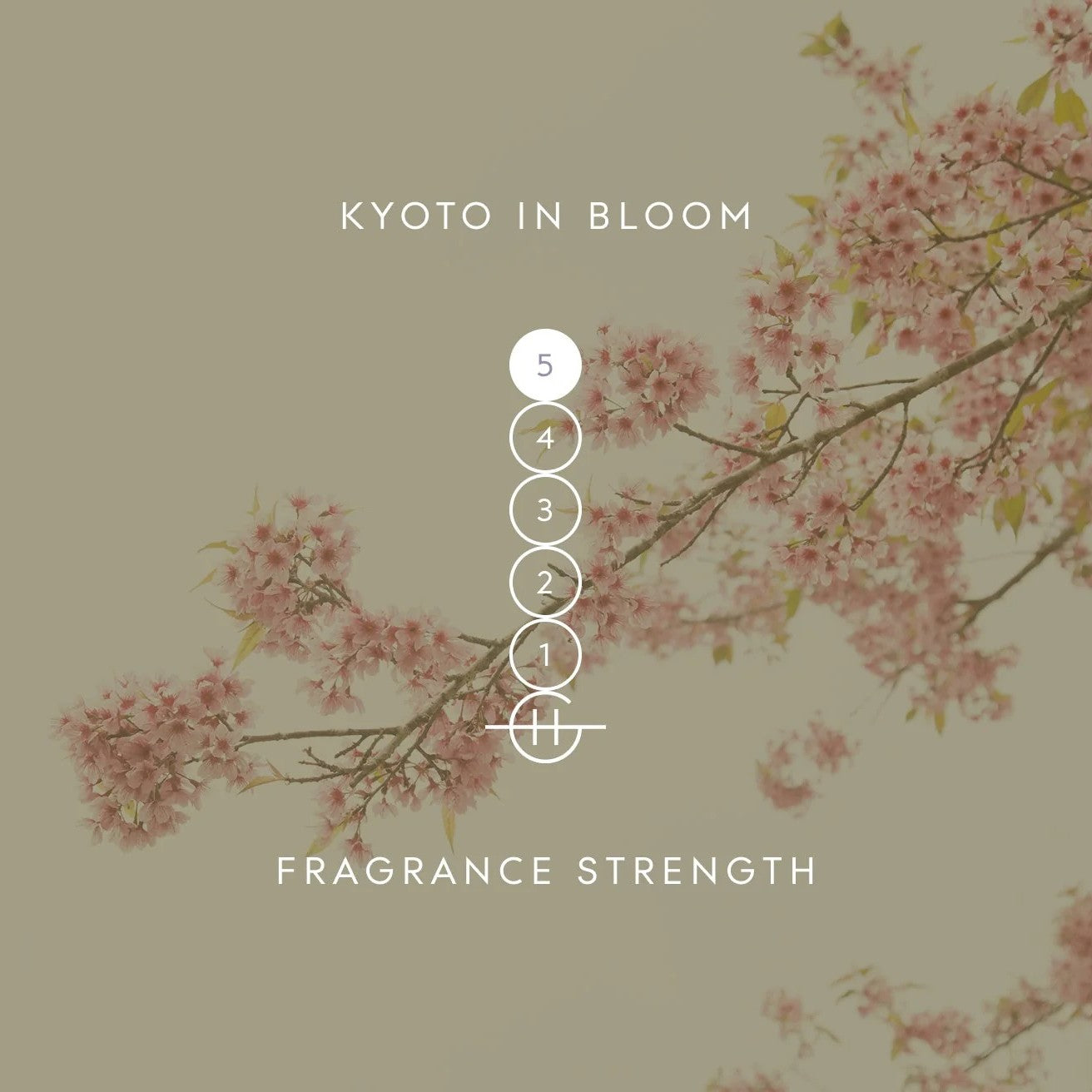 Glasshouse Fragrances - Kyoto in Bloom Candle | Camellia & Lotus