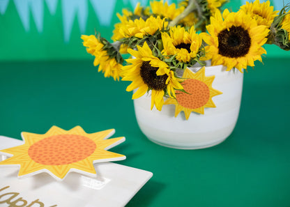 COTON COLORS - Sun Attachment