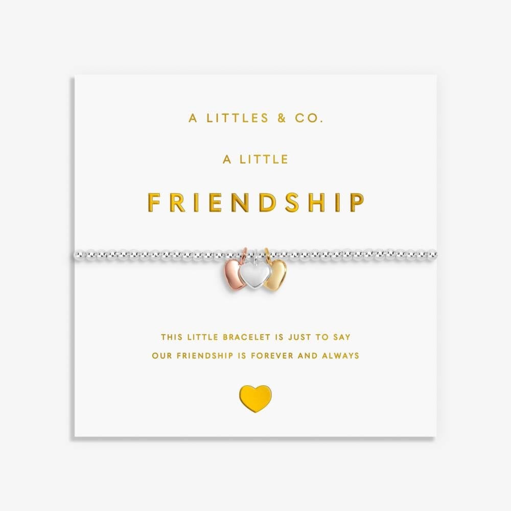 'Friendship’ - 9768 - Silver Bracelet