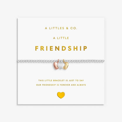'Friendship’ - 9768 - Silver Bracelet