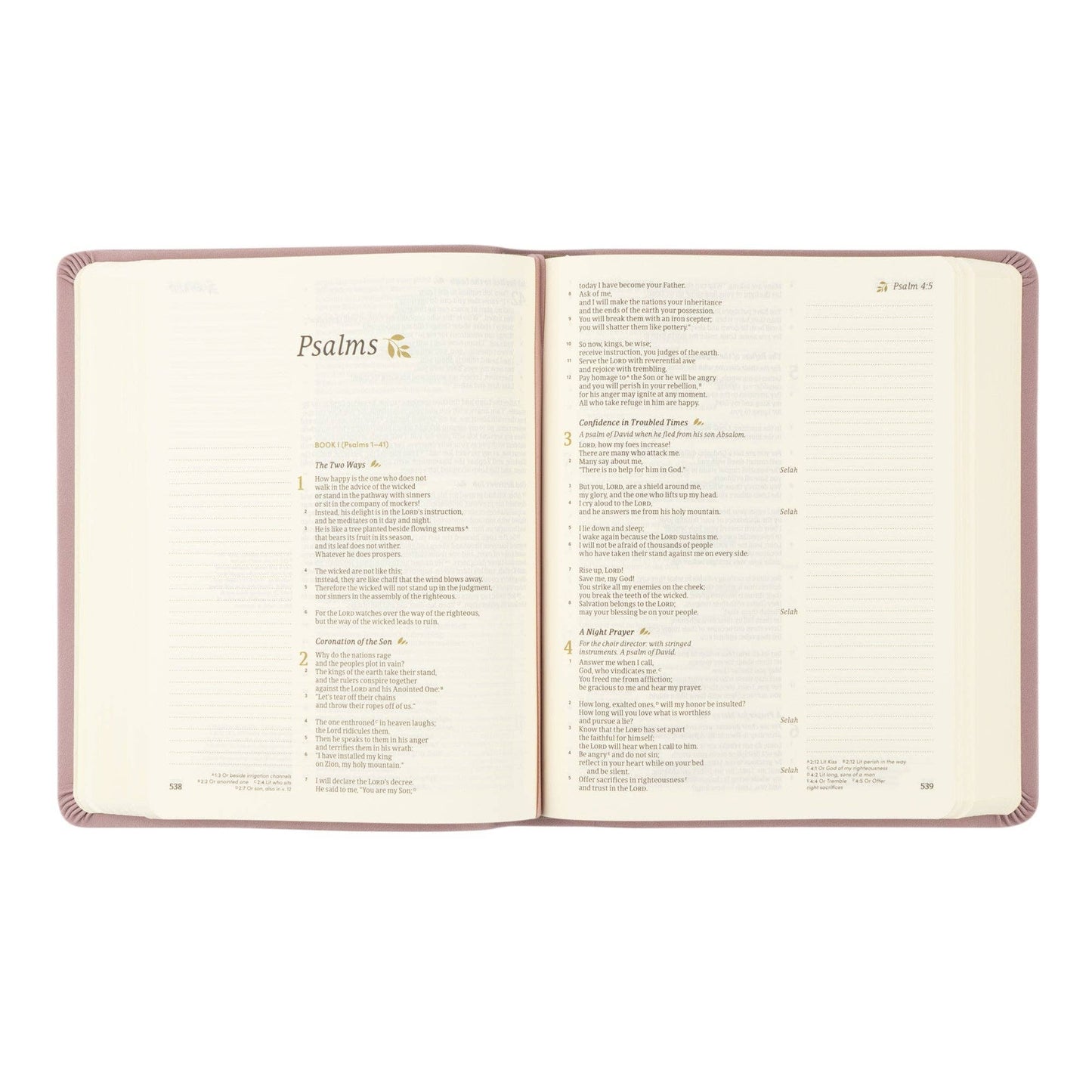 CSB Notetaking Bible: Mauves Theme