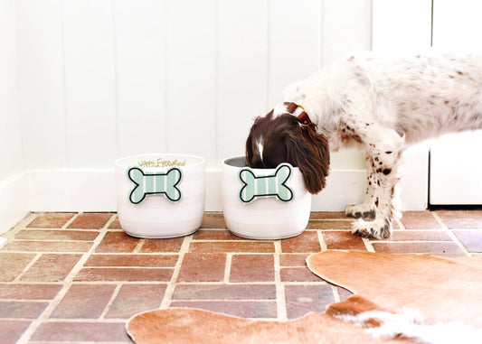 COTON COLORS - Bone Attachment